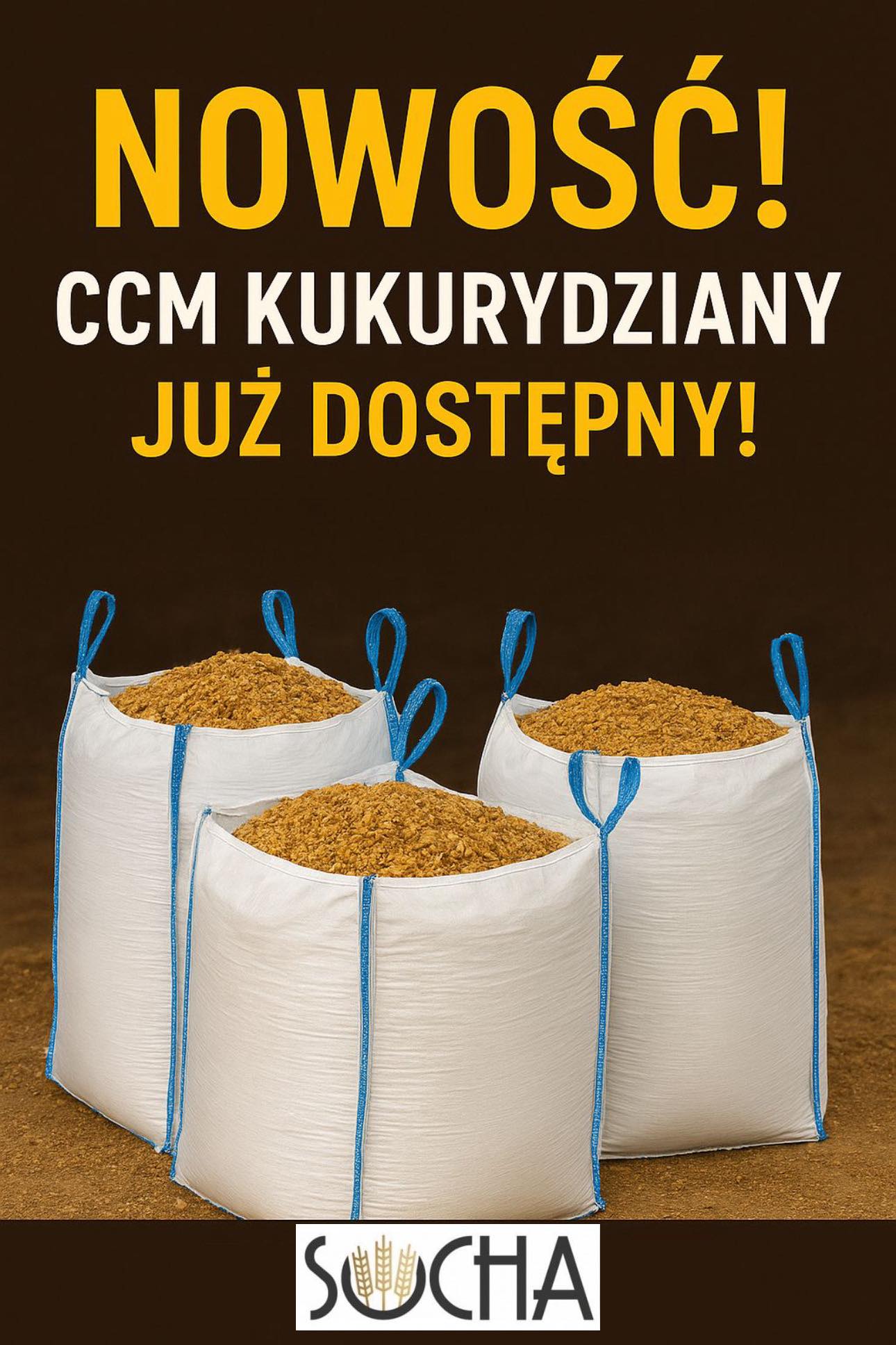  ccm-kukurydziany-aktualnosci