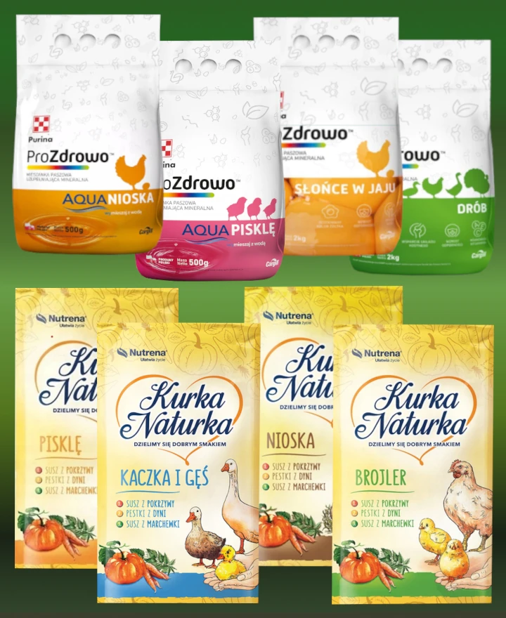 poidla-dla-koni-bydla