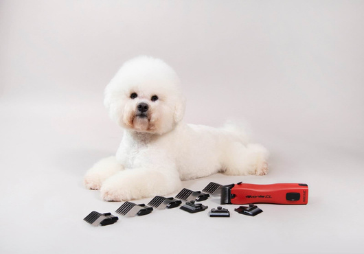 Maszynka do strzyżenia małych zwierząt Favorita CL, akumulatorowa, Aesculap