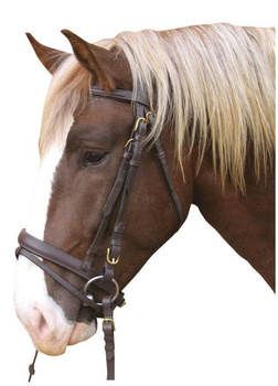 Ogłowie dla konia zimnokrwistego, brązowy, Covalliero
