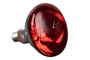 Promiennik podczerwieni, żarówka 175 W, PAR38, czerwona, Canagri