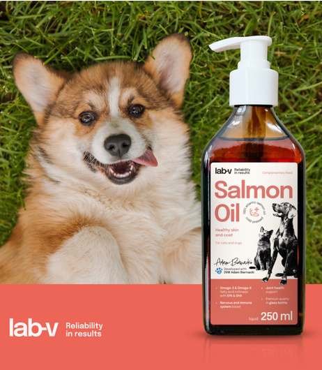 Olej z Łososia 100% - Dla Psa i Kota w Każdym Wieku - Lab-V - 250 ml