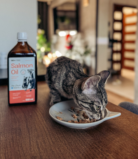 Olej z Łososia - Dla Psa i Kota  - Lab-V - 100ml