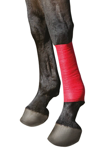 Samoprzylepny bandaż EquiLastic, 10 cm, różne kolory, Kerbl