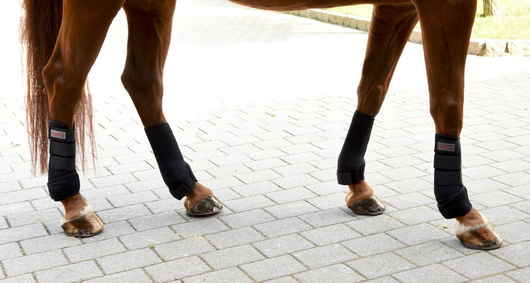 Ochraniacze dla konia, neoprenowe, czarny, różne rozmiary: Pony, Cob, Full, 4 szt., Covalliero