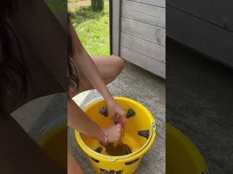 Pułapka na muchy FlyCage6, z atraktantem 200 g, Cit