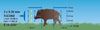 Siatka do ochrony przed dzikami WildNet, 50 m x 90 cm, Kerbl