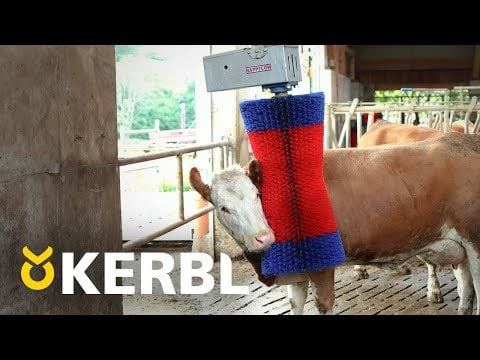 Czochradło automatyczne HAPPYCOW MaxiSwing, Kerbl