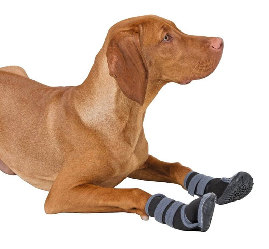 Buty dla psa Active, różne rozmiary (od XS do XL), Kerbl