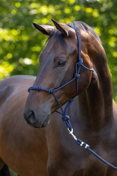Kantar sznurkowy, granatowy, różne rozmiary (od Pony do Full), Covalliero