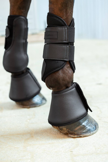Ochraniacze dla konia Avina, różne kolory, różne rozmiary (od Pony do X-Full), Covalliero