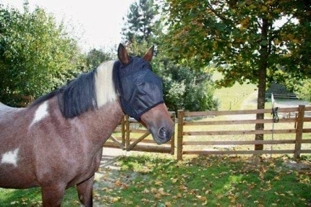 Maska przeciwowadowa dla konia, czarny, roz. Cob, Covalliero