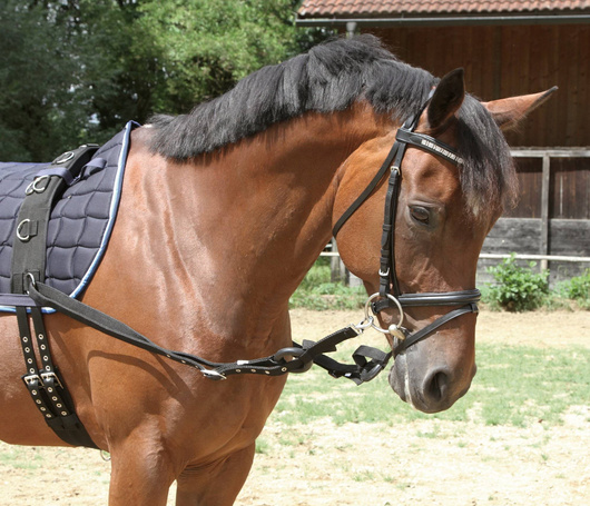Wypinacze parciane z gumowymi kółkami, czarny, roz. Pony, Covalliero
