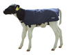 Derka dla cieląt EasyWear, Rozmiary: 70 - 80 cm, granatowa,  Kerbl