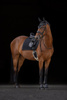Ochraniacze dla konia Avina, różne kolory, różne rozmiary (od Pony do X-Full), Covalliero