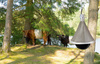 Pułapka na owady TaonX Eco, mała