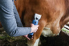 Maszynka do strzyżenia bydła FarmClipper Akku2, 2 akumulatory, Clipster