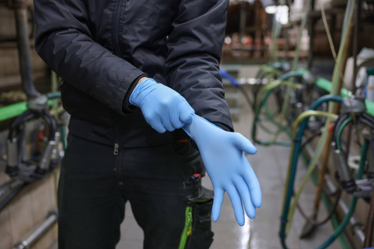 Rękawice nitrylowe Nitrile Premium Plus, różne rozmiary (od S do XXL), niebieske, 50 szt., Kerbl