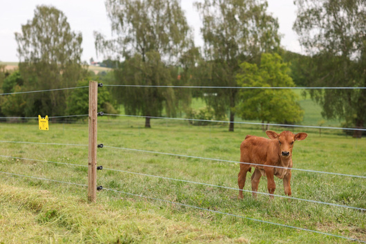 Plecionka ogrodzeniowa PlatinumLine, biało-niebieska, 2 rolki po 300 m, AKO