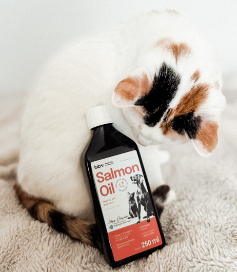 Olej z Łososia 100% - Dla Psa i Kota w Każdym Wieku - Lab-V - 500 ml