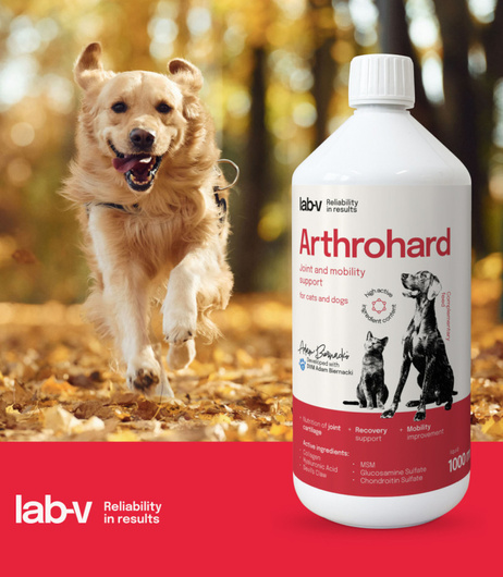Suplementy dla kota, dla psa na stawy LAB-V Arthrohard - 1000ml