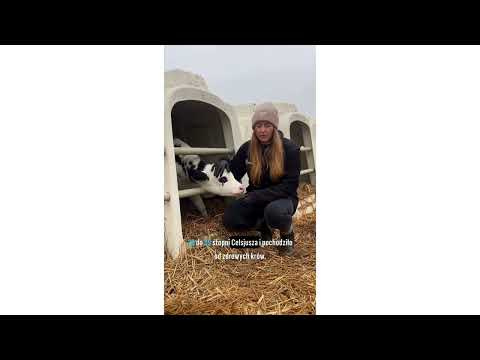 Butelka do pojenia cieląt, 3,0 l, Canagri