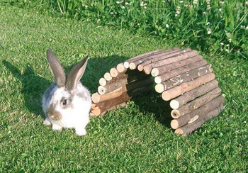 Eko most dla gryzoni, drewniany, 50 x 30 cm, Kerbl