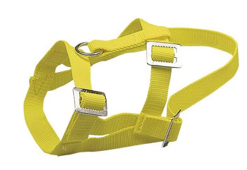 Kantar dla owiec i baranów z nylonu, żółty, Kerbl