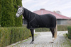 Derka polarowa z kapturem Covalliero Therm, czarny, roz. 125 cm, Covalliero
