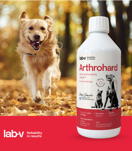 Preparat na wsparcie stawów dla psa i kota - LAB-V Arthrohard 500 ml