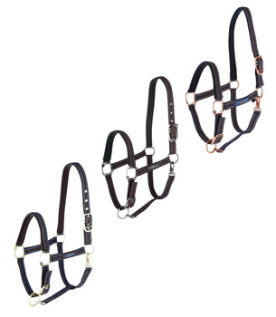 Kantar dla konia Royal, różne kolory, różne rozmiary, Covalliero