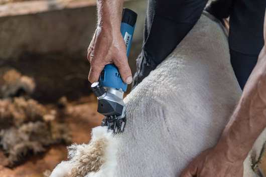 Maszynka do strzyżenia owiec FarmClipper Akku2, 1 akumulator, niebieski Clipster