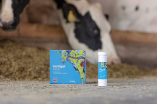 Bolus dla krów z problemami w rozrodzie, Fertilgol, 8 x 95 g, Agrochemica
