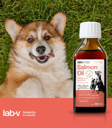 Olej z Łososia - Dla Psa i Kota  - Lab-V - 100ml