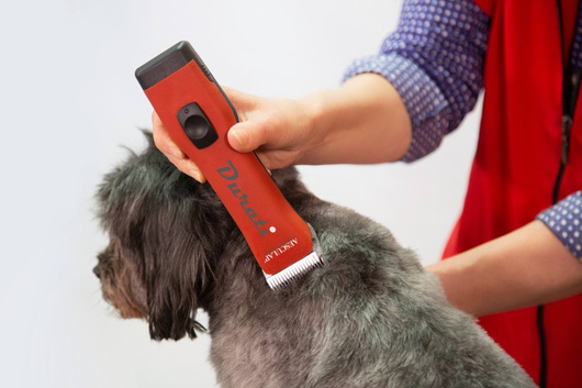 Maszynka do strzyżenia małych zwierząt Durati, 2 akumulatory, Aesculap