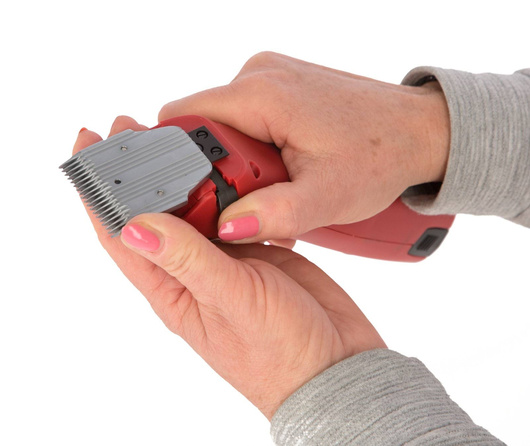 Maszynka do strzyżenia małych zwierząt Favorita CL, akumulatorowa, Aesculap