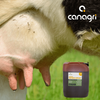 Preparat do dipingu Agrisol DipJod Spray 79, 20 kg, Canagri