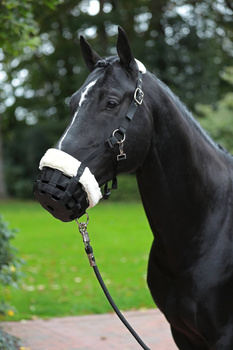 Kaganiec dla konia Teddy Fleece, czarny, różne rozmiary (od 0 do 3), Covalliero