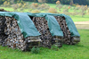 Plandeka 4x6 m, 180 g, zielona, PE, Canagri