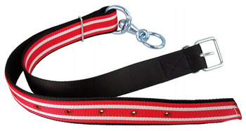 Obroża dla bydła z krętlikiem, czerwony, 150 x 5 cm, Canagri