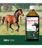 Preparat na stawy dla koni i kucyków LAB-V Equihard 1000ml