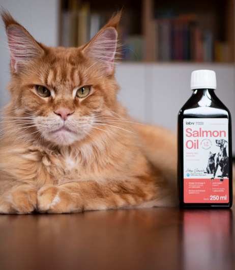 Olej z Łososia - Dla Psa i Kota  - Lab-V - 100ml