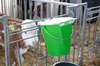 Pokrywka do wiadra do pojenia cieląt MilkGuard, transparentny, Kerbl