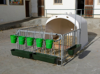 Budka dla cieląt Premium XL, z wygrodzeniem, Kerbl