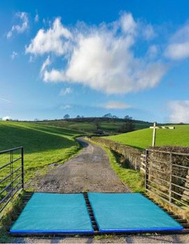 Mata do dezynfekcji, przejazdowa, 380 x 110 x 4 cm, Canagri