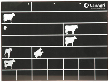 Tablica stanowiskowa, 40 x 30 cm, czarna, Canagri