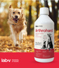 Preparat na wsparcie stawów dla psa i kota - LAB-V Arthrohard 500 ml