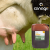 Preparat do dipingu Agrisol DipJod 72, 20 kg, Canagri