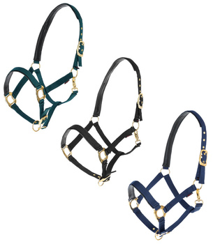 Kantar dla konia TopLine, różne kolory, różne rozmiary, Covalliero