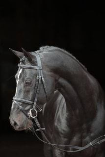 Ogłowie dla konia Classic, różne kolory, różne rozmiary (od Pony do XFull), Covalliero